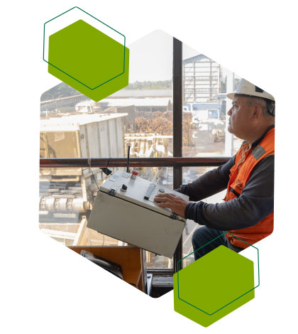 ¡Gracias por solicitar tu cotización!